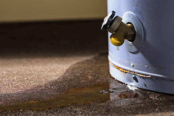 Best Water damage contractors near me  in Connerton, FL