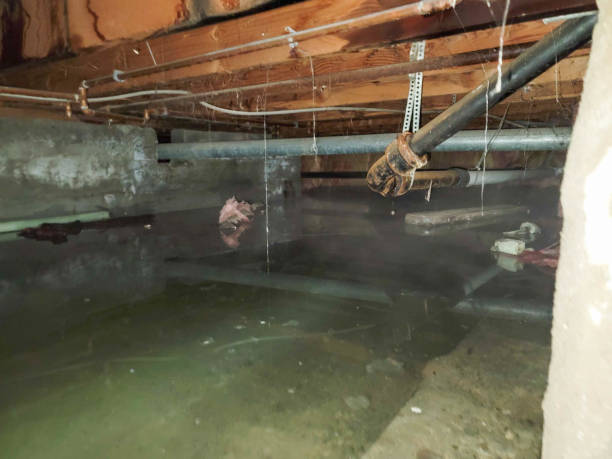 Local water damage restoration in Connerton, FL