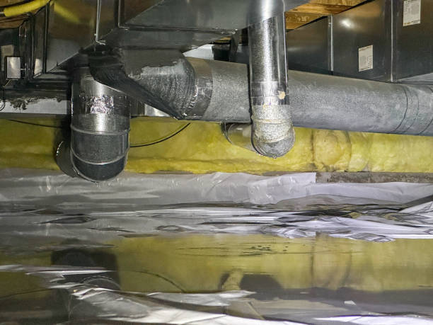 Best Commercial water damage restoration  in Connerton, FL